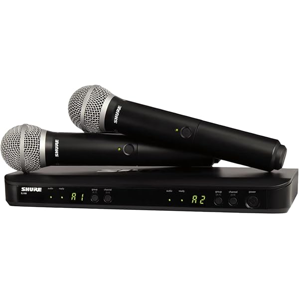 Amazon.com: Tankenlid Wireless Mic Case - Hard Shell Case